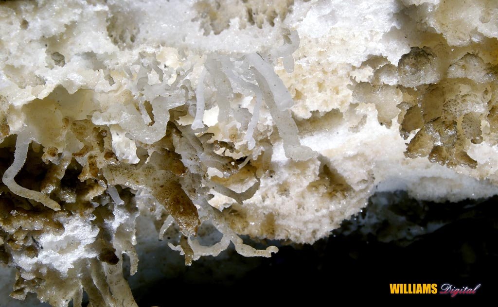 hanging gardens revisited 